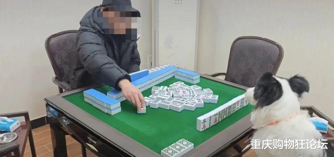 (2分钟介绍)“巴蜀麻将有挂能查出来吗”详细教程辅助工具