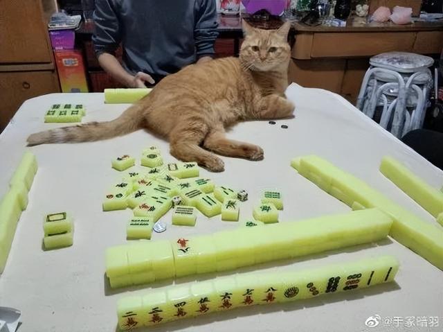 我来教教大家“熊猫麻将到底可不可以开挂”(真的有挂)