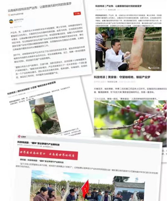科技通报“新悦是不是有挂”原来确实有挂-知乎