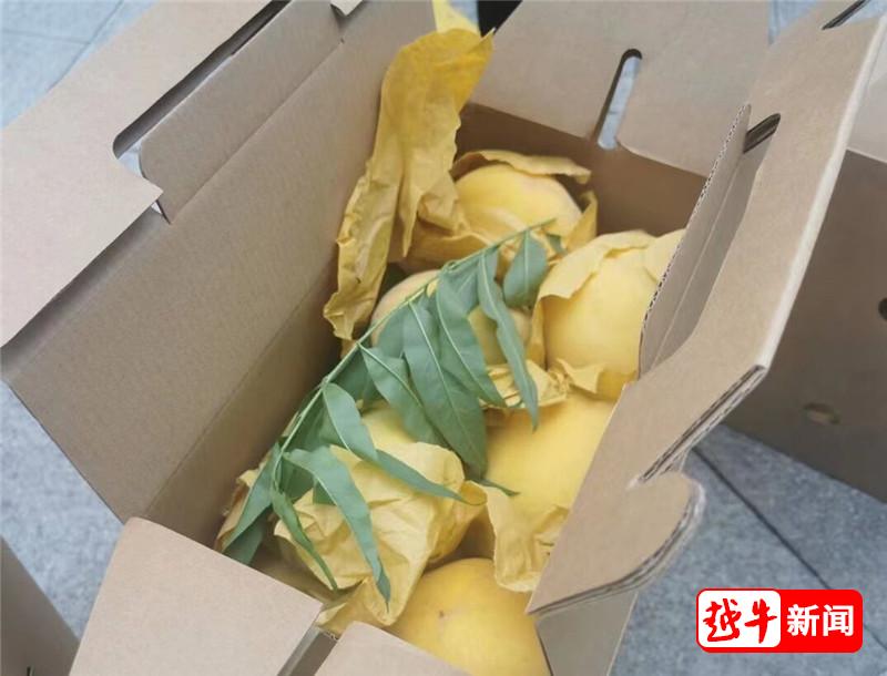 老玩家推荐“新蜜瓜大厅拼三张究竟有挂吗”!曝光透视猫腻