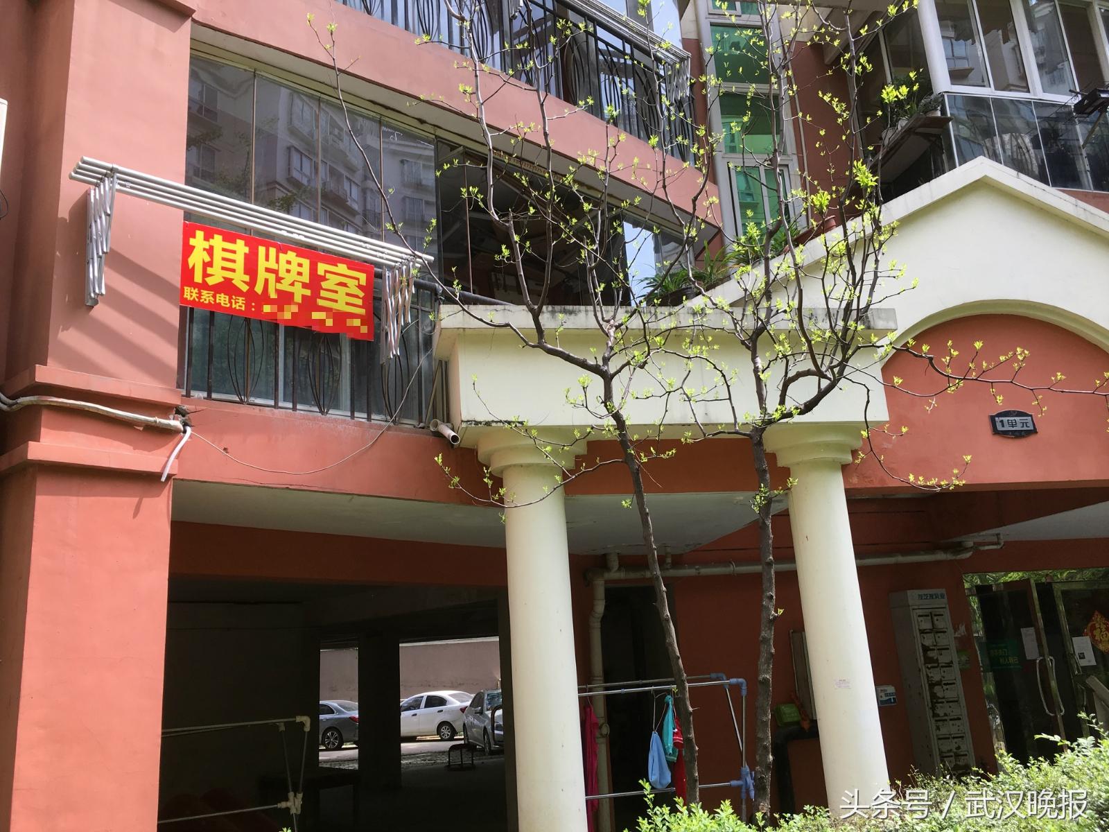 厉害了！全来麻将确实真的有挂(怎么打才赢)