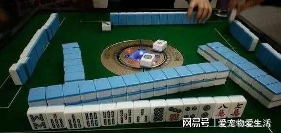 厉害了!家乡麻将怎么稳赢”详细教程辅助工具