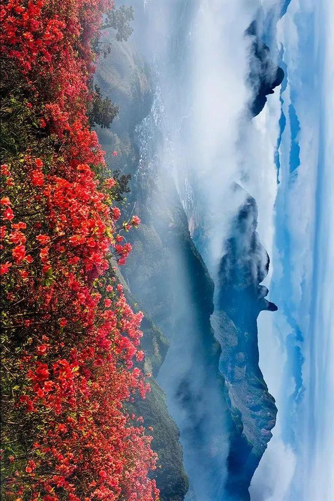 推荐一款“山峰在线到底能开挂吗”开挂详细教程