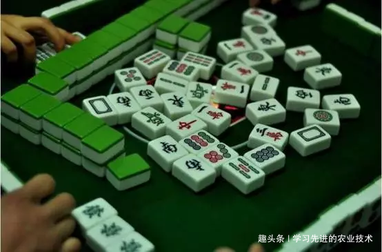 分享实测“赣南麻将有挂吗”(原来真的有挂)-知乎