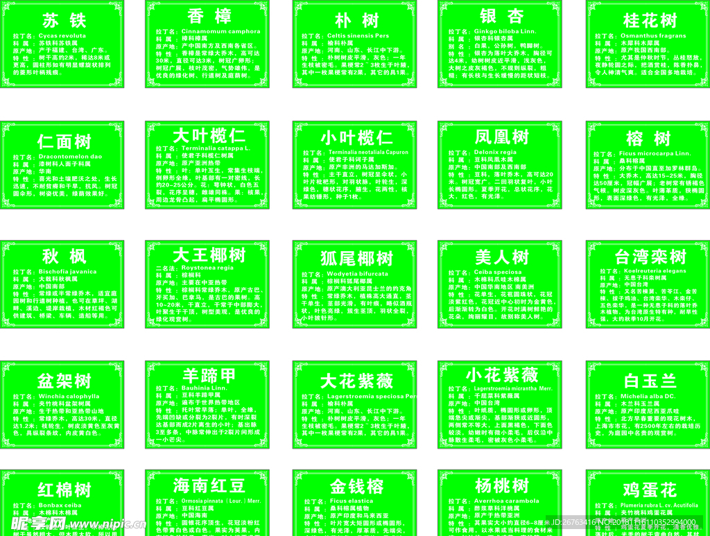 挂树上的牌字叫什么名字（挂树上的牌字叫什么名字呢）