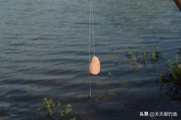钓淡水鱼如何挂鱼饵线视频（钓淡水鱼如何挂鱼饵线视频讲解）