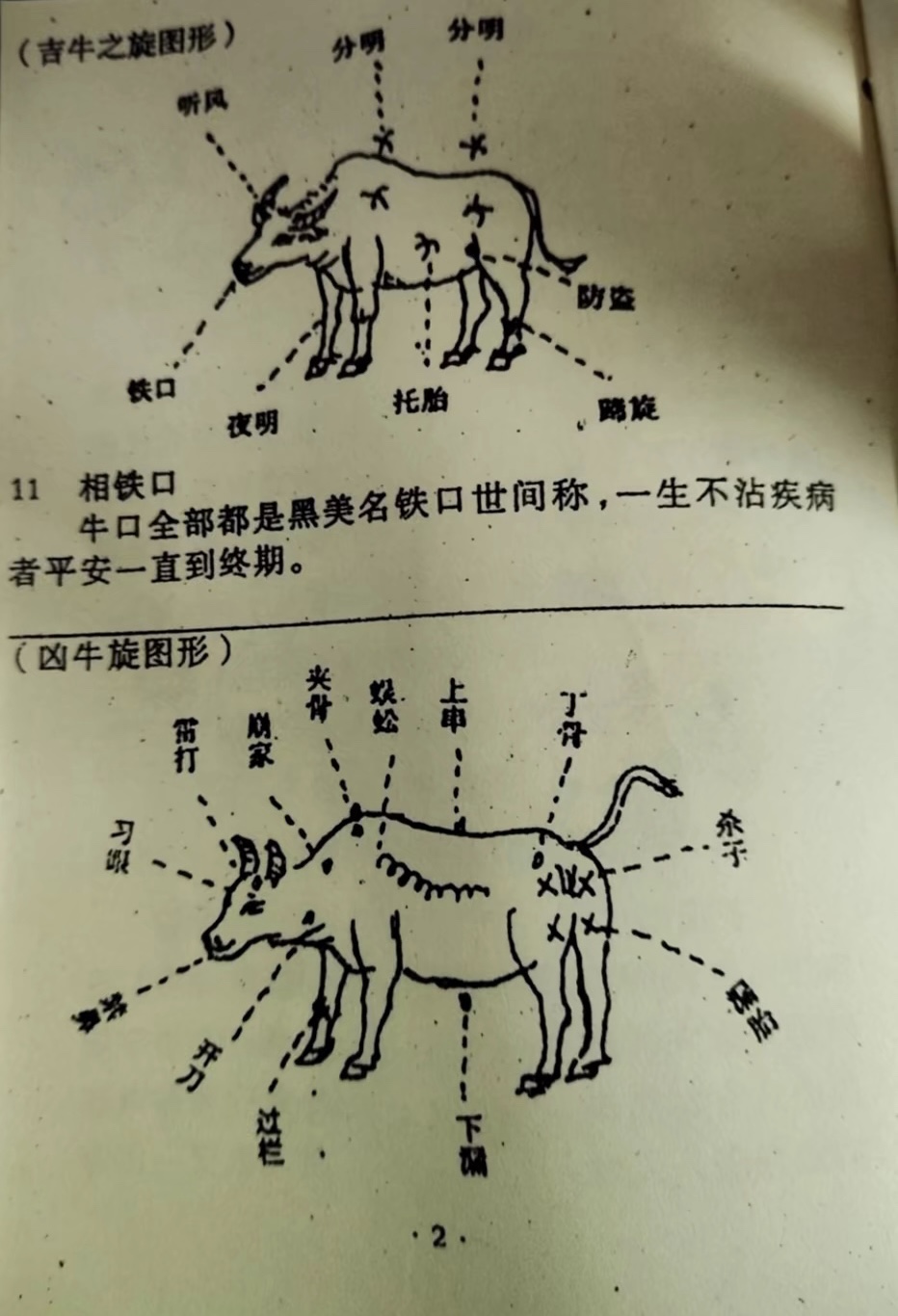 三分钟了解&quot;斗牛生死门8个口诀_《爱问知识人 使用说明》