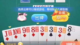 (2分钟介绍)“玩斗牛最简单出老千办法设备一《我来教教你怎么赢 》