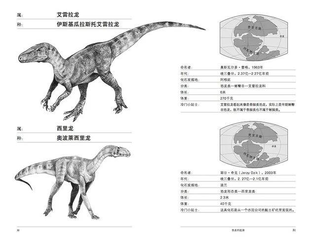 厉害了!五张斗牛技巧口诀《详细教程 新浪科技》