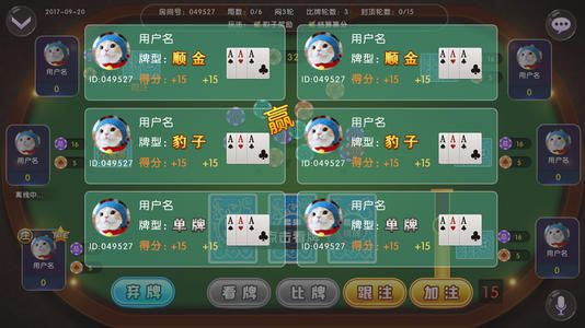 玩家必备攻略“终于明白推牌9要怎么可以赢钱《详细教程 新浪科技》