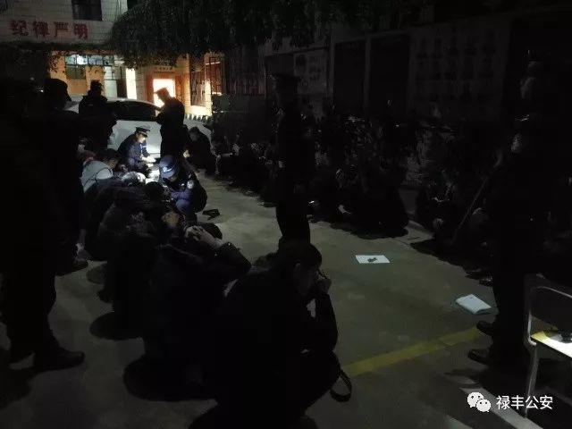 厉害了!筒子斗牛有什么新产品一《我来教教你怎么赢 》