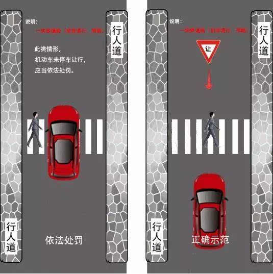 一分钟教你“怎样从背面认扑克牌一《我来教教你怎么赢 》
