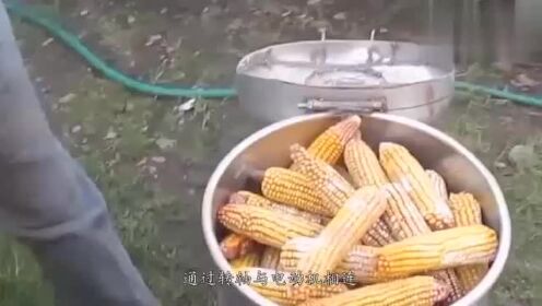 一分钟教你“杯碗盖住玉米番摊数量怎么知道数量_《爱问知识人 使用说明》