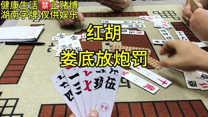 优选推荐“跑胡子字牌隐藏作弊工具多少钱一《我来教教你怎么赢 》