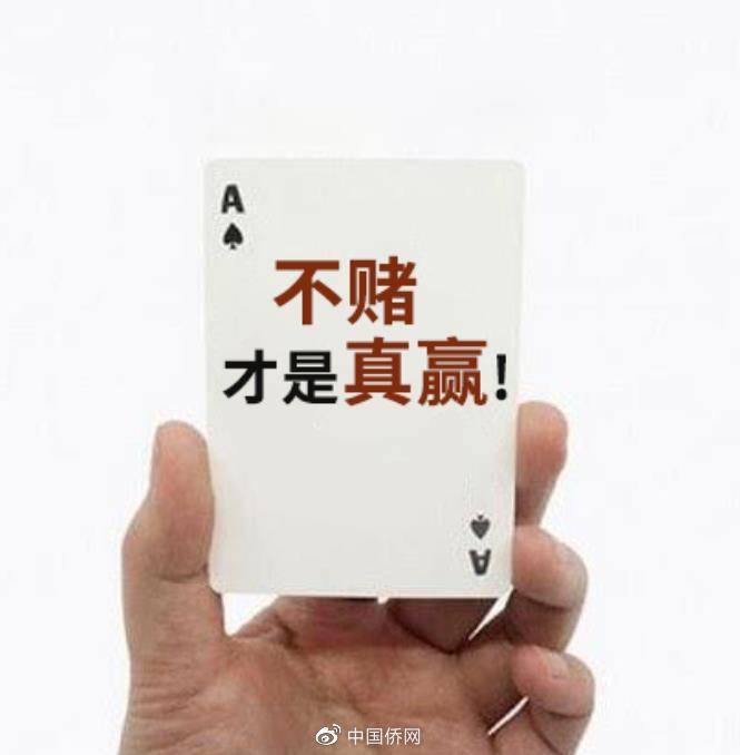 分享决窍“教你几招炸金花赢钱的小方法一《我来教教你怎么赢 》