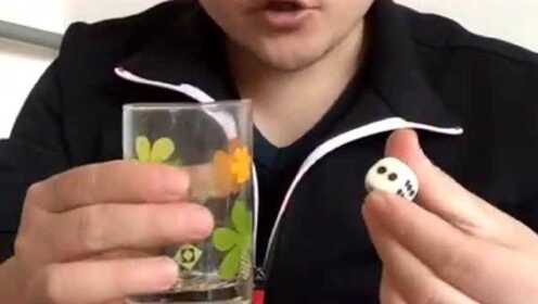 3分钟教你科普“提前看到杯子盖住的色子《新浪科技 讲解窍门》