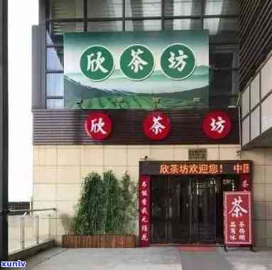 温州茶苑到底能不能开挂(确实真的有挂)