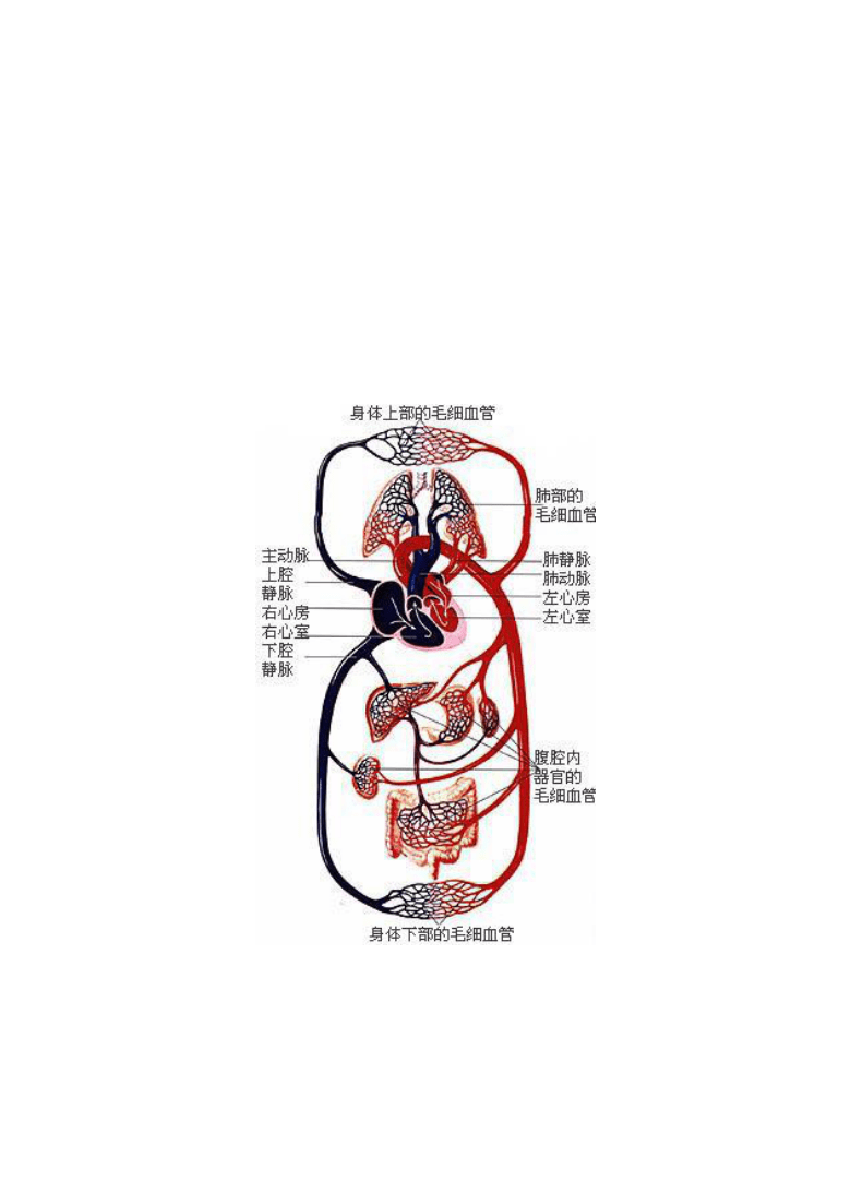 详细说明“教你炸金花出老千工具_《爱问知识人 使用说明》