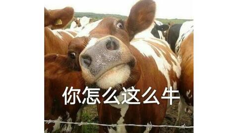 教程辅助“玩牛牛真的可以赢到钱吗 一《我来教教你怎么赢 》