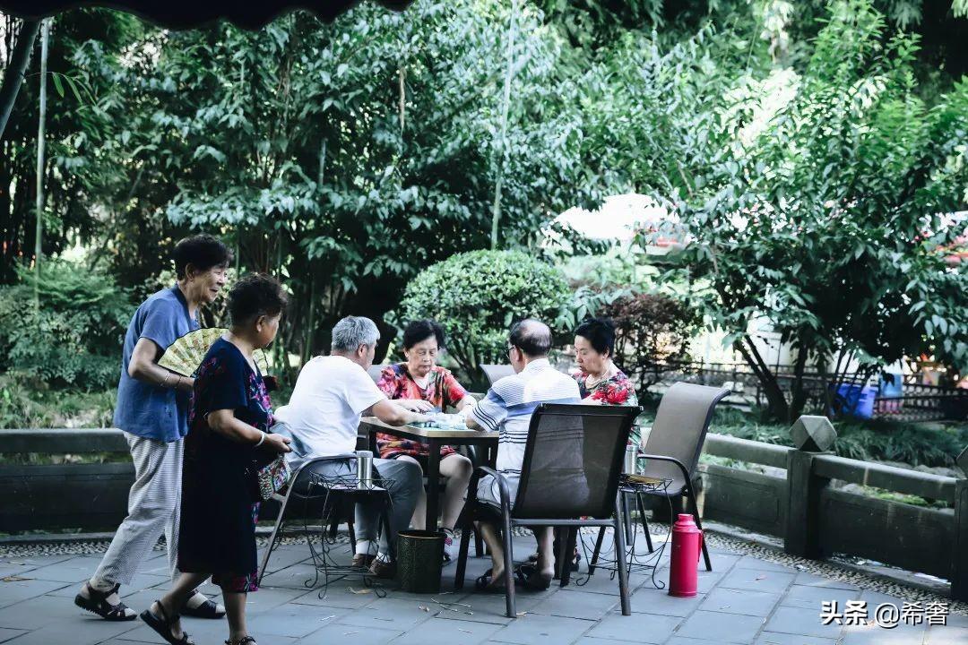 火爆全网!麻将全新市场定位分析《详细教程 新浪科技》