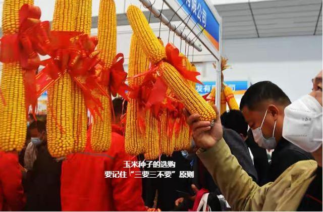 教程辅助“怎么穿透庄家的玉米摊猜1234+《新浪科技 讲解窍门》