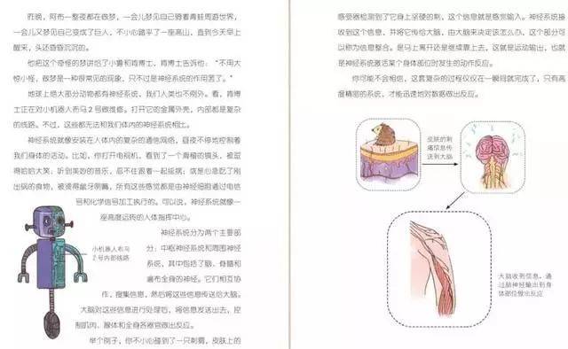 详细说明“必看科普毛巾包4个木棍视频_《爱问知识人 使用说明》