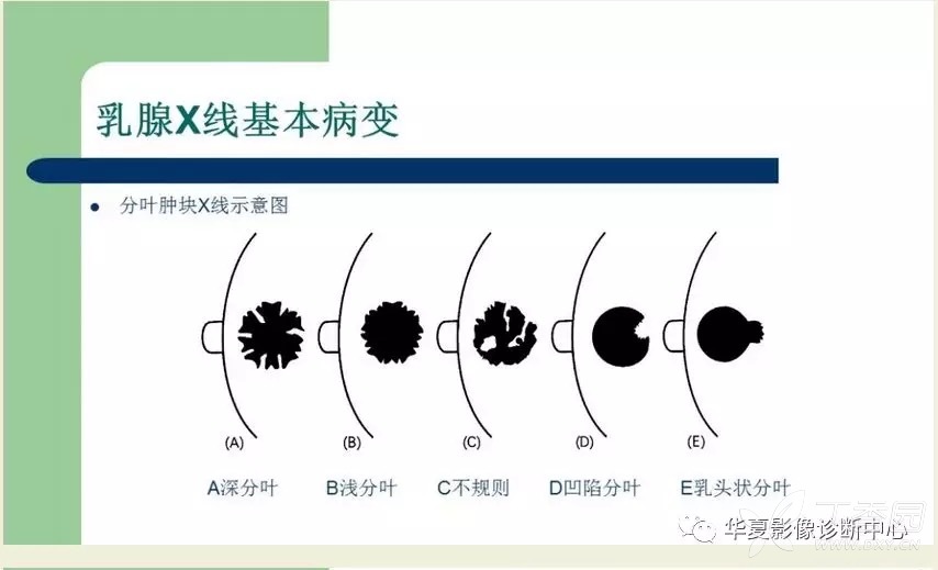 (2分钟介绍)“我来透视普通茶杯色子单双《新浪科技 讲解窍门》