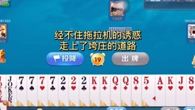 分享决窍“打筒子能起手拿到好牌一《我来教教你怎么赢 》