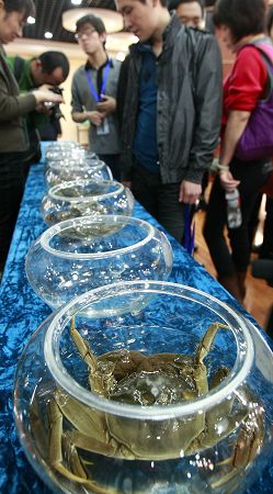 5分钟教会你“有哪些设备能里面的鱼虾蟹《新浪科技 讲解窍门》