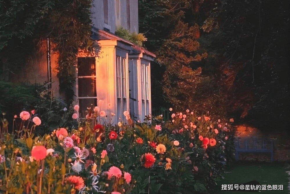 3分钟教你科普“麻将个人怎么手势作弊_《爱问知识人 使用说明》