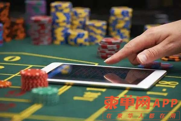 必看盘点揭秘!草花机解码器会被发现吗一《我来教教你怎么赢 》