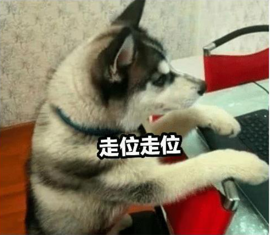 哈狗游戏是不是有挂(真的有挂)