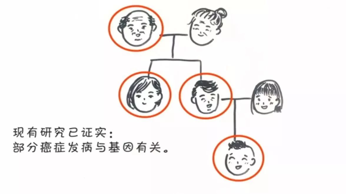 3分钟教你科普“如何透视押宝里色子的点数一《我来教教你怎么赢 》