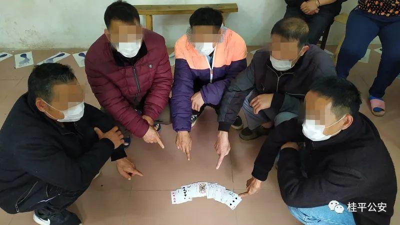 (2分钟介绍)“实用普通扑克三公先进产品《详细教程 新浪科技》